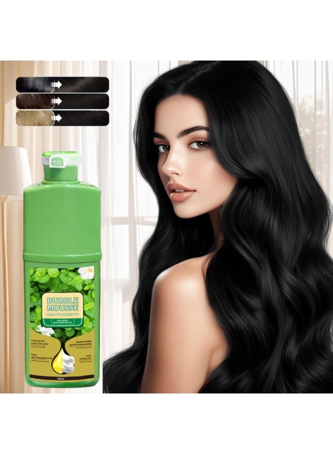 Bubble Mousse Shampoo, Natural Hair Mousse with Plant Dye Formula, Durable, Vegetable Foam Hair Dye, Fast Acting, Hair Dye, Bubble Hair Dye, Hair Dye Black 500ml - Image 2